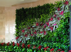 Dikey Bahçeler, Vertical Garden