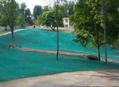 Hydroseeding